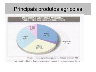 Principais produtos agrícolas
 