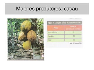 Maiores produtores: cacau
 