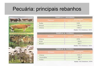Pecuária: principais rebanhos
 