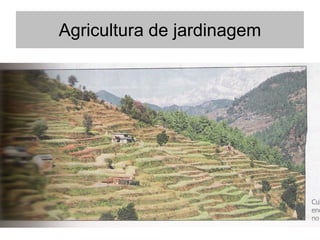 Agricultura de jardinagem
 