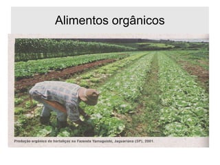 Alimentos orgânicos
 