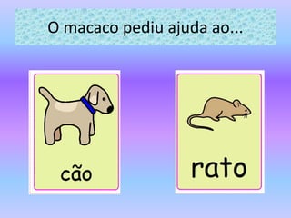 O macaco pediu ajuda ao...
 