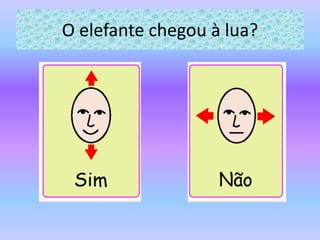 O elefante chegou à lua?
 