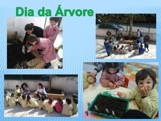 Atividades de roullement