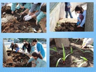 Atividades de roullement