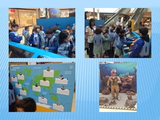 Atividades de roullement