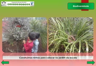 Biodiversidade
Construímos ninhos para colocar no jardim da escola
 