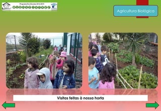 Agricultura Biológica
Visitas feitas à nossa horta
 