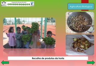 Agricultura Biológica
Recolha de produtos da horta
 