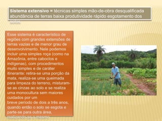 A Urbanização do Brasil• As cidades crescem e se desenvolvem num processo que pode levar décadas ou até séculos.• Existem cidades com uma longa história que trazem as marcas desse processo na organização do seu processo.Palmas é um exemplo de cidade com história diferente. Em 1989, após ser escolhida capital do recém criado estado do Tocantins, a cidade não passava de um “canteiro de obras”. Em pouco mais de 10 anos a cidade foi estruturada e equipada. Segundo dados do IBGE, no ano de 2006 a população de Palmas já estava em torno de 220 mil habitantes.