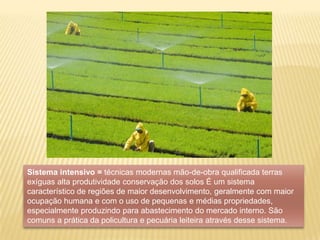 Segundo a Pesquisa Nacional por Amostra de Domicílios (Pnad) de 2000, realizada pelo IBGE, 81,23% dos brasileiros reside em áreas urbanas.• As regiões SE, S e NE apresentam osmaiores índices, com 88,7%, 78,4% e 63,6% de moradores urbanos respectivamente. As cidades de SP (10 milhões), RJ (5,6 milhões), Salvador (2,3 milhões) e BH e Fortaleza (ambas com 2,1 milhões), continuam sendo os municípios brasileiros mais populosos.