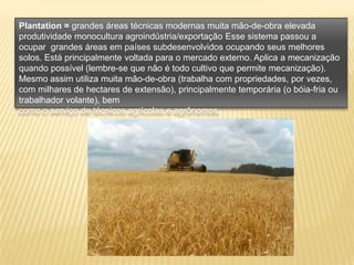 O processo de urbanização no Brasil se inicia na década de 1940. A expansão das atividades industriais em grandes centros atrai trabalhadores de áreas rurais, que vêem na cidade a possibilidade de rendimentos maiores e melhores recursos nas áreas de educação e saúde. O censo de 1940, o primeiro a dividir a população brasileira em rural e urbana registra que 31,1% dos habitantes estavam nas cidades.