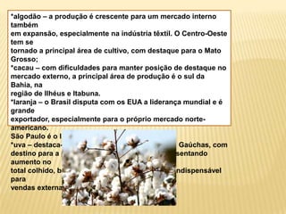 Agropecuária