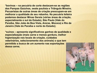 A atividade da agropecuária pertence ao setor primário da economia.Apesar de não ser mais a atividade de maior importância na economiabrasileira continua se destacando pela significativa participação em nossocomércio exterior, pelo emprego de aproximadamente 1/5 da PEA