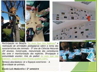 Escola Luís Madureira / 2º semestre
Fotografia
Fotografia
Tema(s) abordado(s): Ar e Espaços exteriores - A
diversidade de animais.
Fotografia da atividade/ da folha de registo/ do
trabalho realizado/ entre outros
Participação no Desafio "As Aves Que Nos Rodeiam" e
realização de atividades pedagógicas sobre o tema das
características dos Animais - 5º ano de Ciências Naturais
(57 alunos). Construção, manutenção dos comedouros
das aves e monitorização das espécies. Divulgação à
comunidade escolar: link do padlet As aves que nos
rodeiam - Experienci@rte 5ºanos (padlet.com).
 