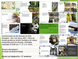 Escola Luís Madureira / 2º semestre
Fotografia
Tema(s) abordado(s):
Proteção da Biodiversidade
Comemoração do Dia Mundial da Vida
Selvagem – dia 3 de março 2021– Visita de
estudo guiada ao Jardim Zoológico de Lisboa
promovida pelo Eco-Escolas. Atividade
realizada no E@D nos 1º, 2º e 3º ciclos.
Trabalhos em padlet dos
5ºanos sobre a visita ao ZOO -
Experienci@rte Experienci@rte
5.ºA (padlet.com) e
EXPERIENCI@RTE - 5ºB
(padlet.com)
 
