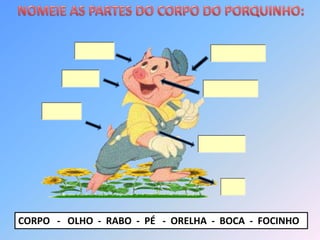 CORPO - OLHO - RABO - PÉ - ORELHA - BOCA - FOCINHO
 
