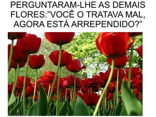 PERGUNTARAM-LHE AS DEMAIS
FLORES:”VOCÊ O TRATAVA MAL,
AGORA ESTÁ ARREPENDIDO?”
 