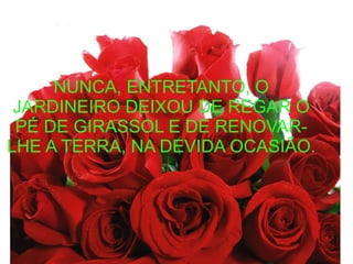 NUNCA, ENTRETANTO, O
JARDINEIRO DEIXOU DE REGAR O
PÉ DE GIRASSOL E DE RENOVAR-
LHE A TERRA, NA DEVIDA OCASIÃO.
 