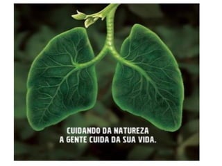 Atividades sobre figuras de linguagem