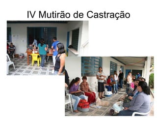IV Mutirão de Castração 