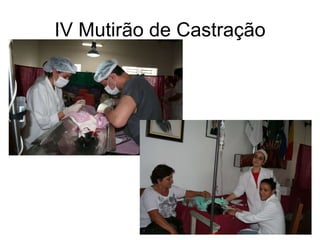 IV Mutirão de Castração 