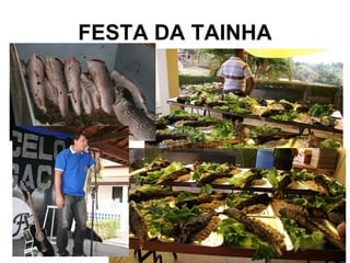FESTA DA TAINHA 