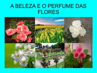 A BELEZA E O PERFUME DAS
FLORES
