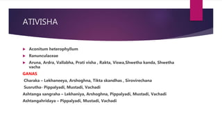 ATIVISHA
 Aconitum heterophyllum
 Ranunculaceae
 Aruna, Ardra, Vallabha, Prati visha , Rakta, Viswa,Shwetha kanda, Shwe...