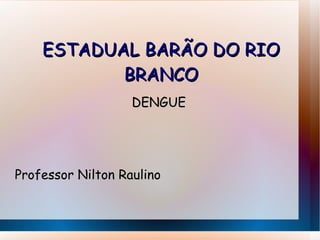 ESTADUAL BARÃO DO RIO BRANCO DENGUE Professor Nilton Raulino 