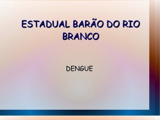 ESTADUAL BARÃO DO RIO BRANCO DENGUE 