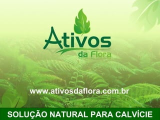 SOLUÇÃO NATURAL PARA CALVÍCIE www.ativosdaflora.com.br 