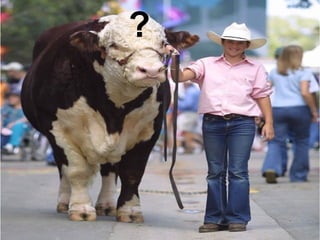 ?

Viele sind weiser
   als einer ...

   The Wisdom of Crowds
    by James Surowiecki
 