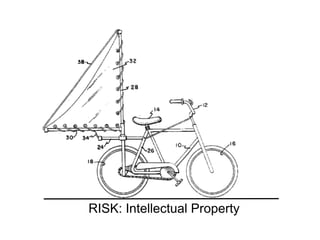 RISK: Intellectual Property
 