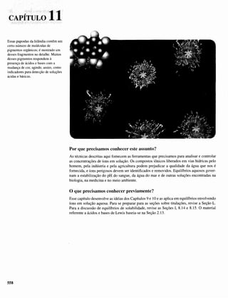 Atkins   princípios de química 