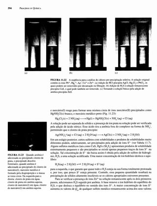Atkins   princípios de química 