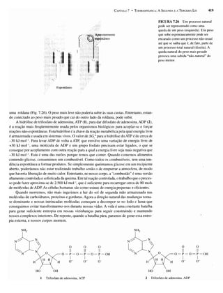 Atkins   princípios de química 