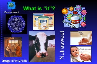 What is “it”? Omega-3 Fatty Acids Nutrasweet Environment 