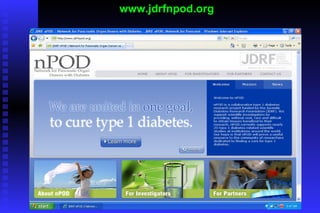 www.jdrfnpod.org 