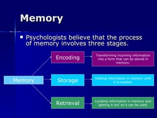 Memory ,[object Object],Memory Encoding Storage Retrieval Transforming incoming information into a form that can be stored in memory. Holding information in memory until it is needed. Locating information in memory and ‘getting it out’ so it can be used. 