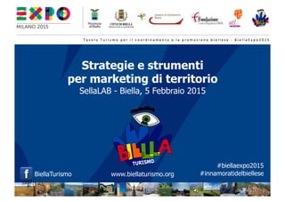 Strategie e strumenti
per marketing di territorio
SellaLAB - Biella, 5 Febbraio 2015
#biellaexpo2015
#innamoratidelbiellese	
  BiellaTurismo	
   www.biellaturismo.org	
  
 