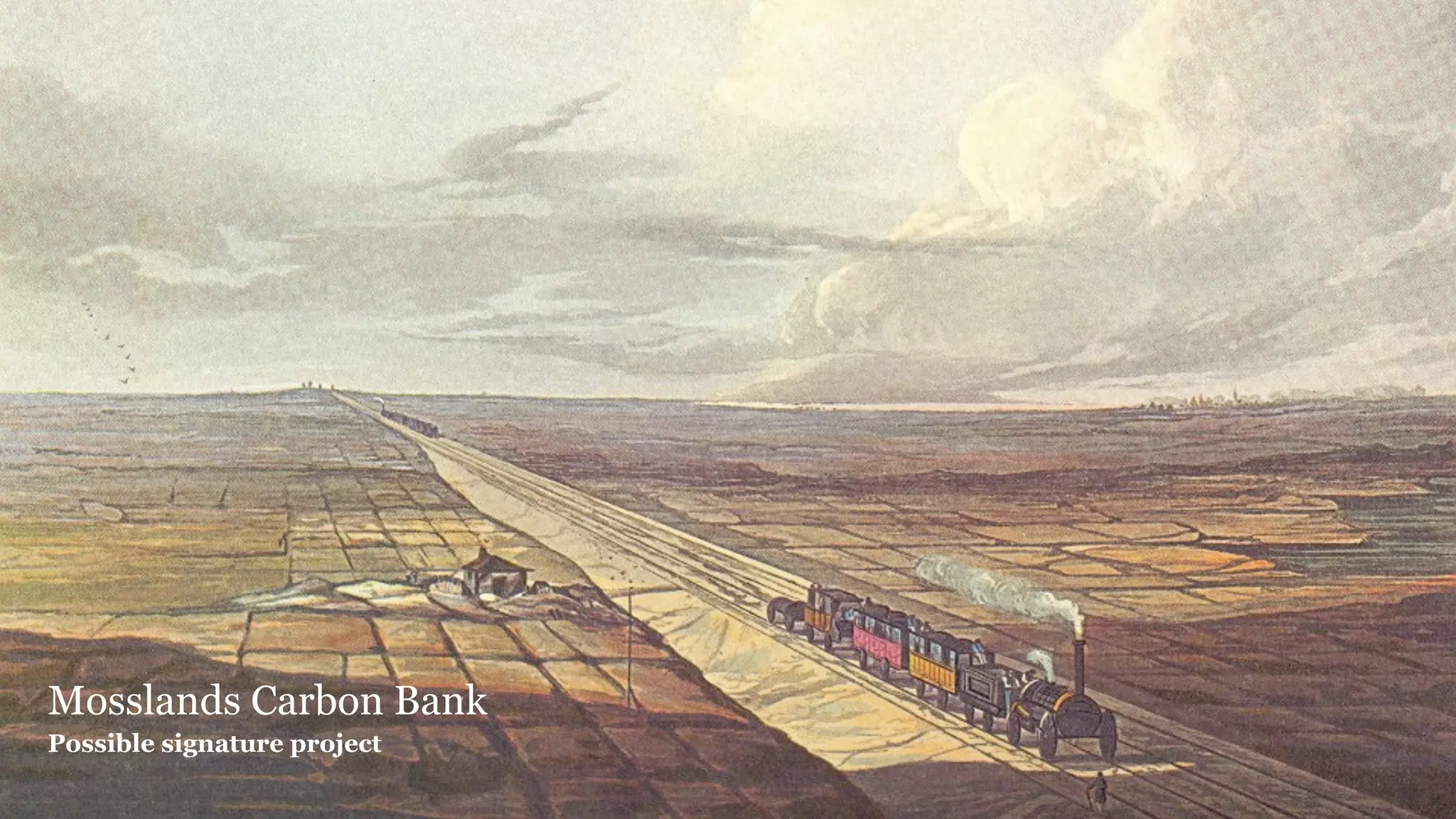 Signature project - Mosslands Carbon Bank




Mosslands Carbon Bank
Possible signature project
 