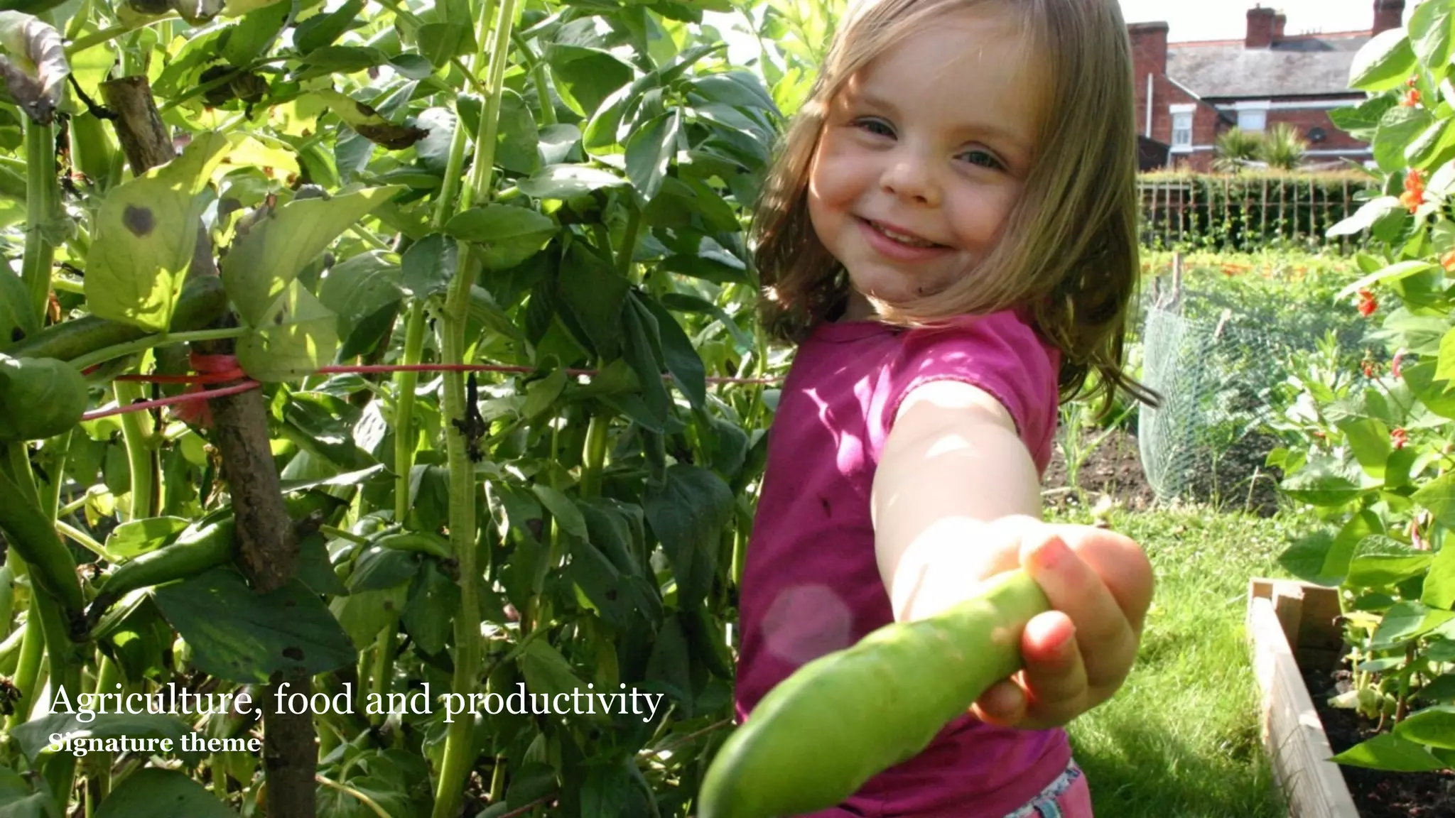 Agriculture, food and productivity
Signature theme
 