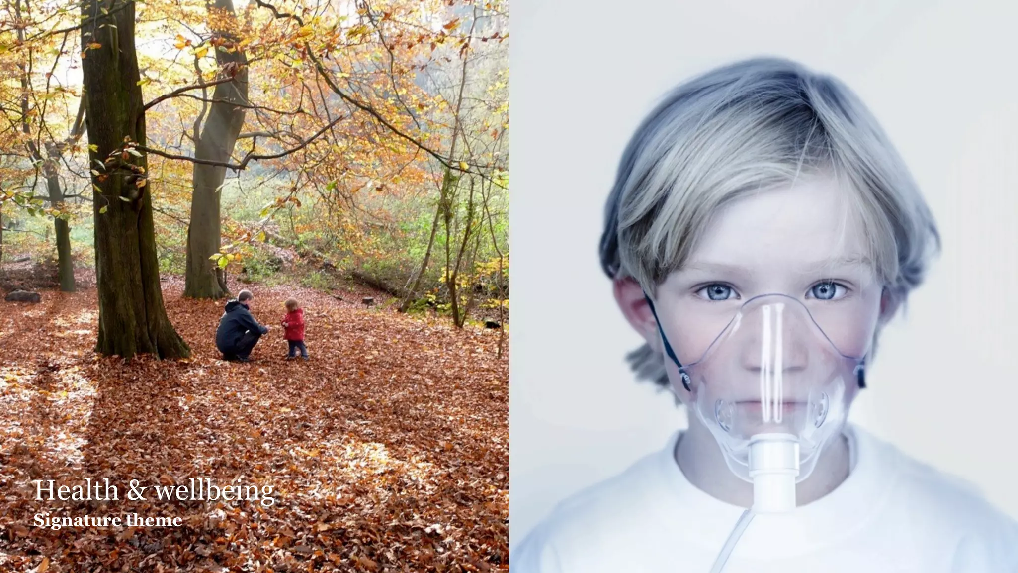 Health & wellbeing
Signature theme
 