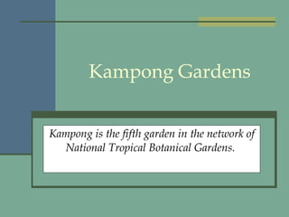 Kampong Gardens Kampong is the fifth garden in the network of National Tropical Botanical Gardens.   