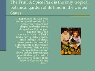 The Fruit & Spice Park is the only tropical botanical garden of its kind in the United States.   Experience the lush trees brimming with colorful fruit whose very names and shapes evoke the exotic; Mangosteen, Fiji Longan, Dragon Fruit, and Jaboticaba.  Visit the Park's herb and vegetable garden, stroll through the shady banana groves, and wonder at the majesty of the African Baobab trees. Visitors may sample fallen fruit (no above-ground harvesting is permitted) or get a taste of the season's bounty at the Welcome Center's tasting table.   