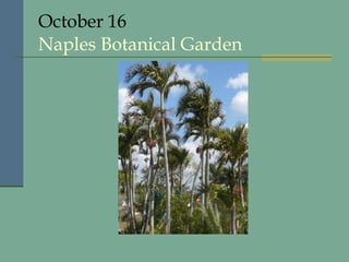 October 16 Naples Botanical Garden 