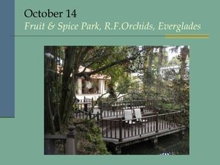 October 14 Fruit & Spice Park,  R.F.Orchids, Everglades 