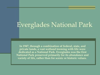 Everglades National Park In 1947, through a combination of federal, state, and private lands, a vast wetland teeming with life were dedicated as a National Park. Everglades was the first National Park preserved primarily for its abundance and variety of life, rather than for scenic or historic values.   
