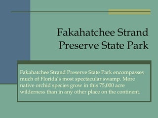 Fakahatchee Strand Preserve State Park Fakahatchee Strand Preserve State Park encompasses much of Florida’s most spectacular swamp. More native orchid species grow in this 75,000 acre wilderness than in any other place on the continent. 